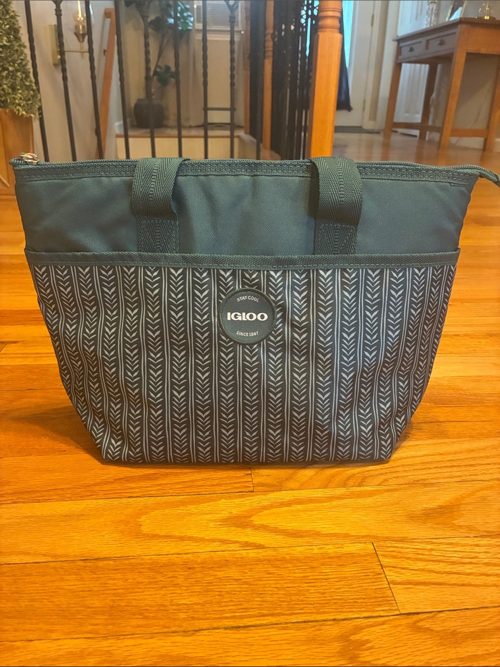 Igloo lunch bag